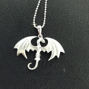 Dragon and dragonflies